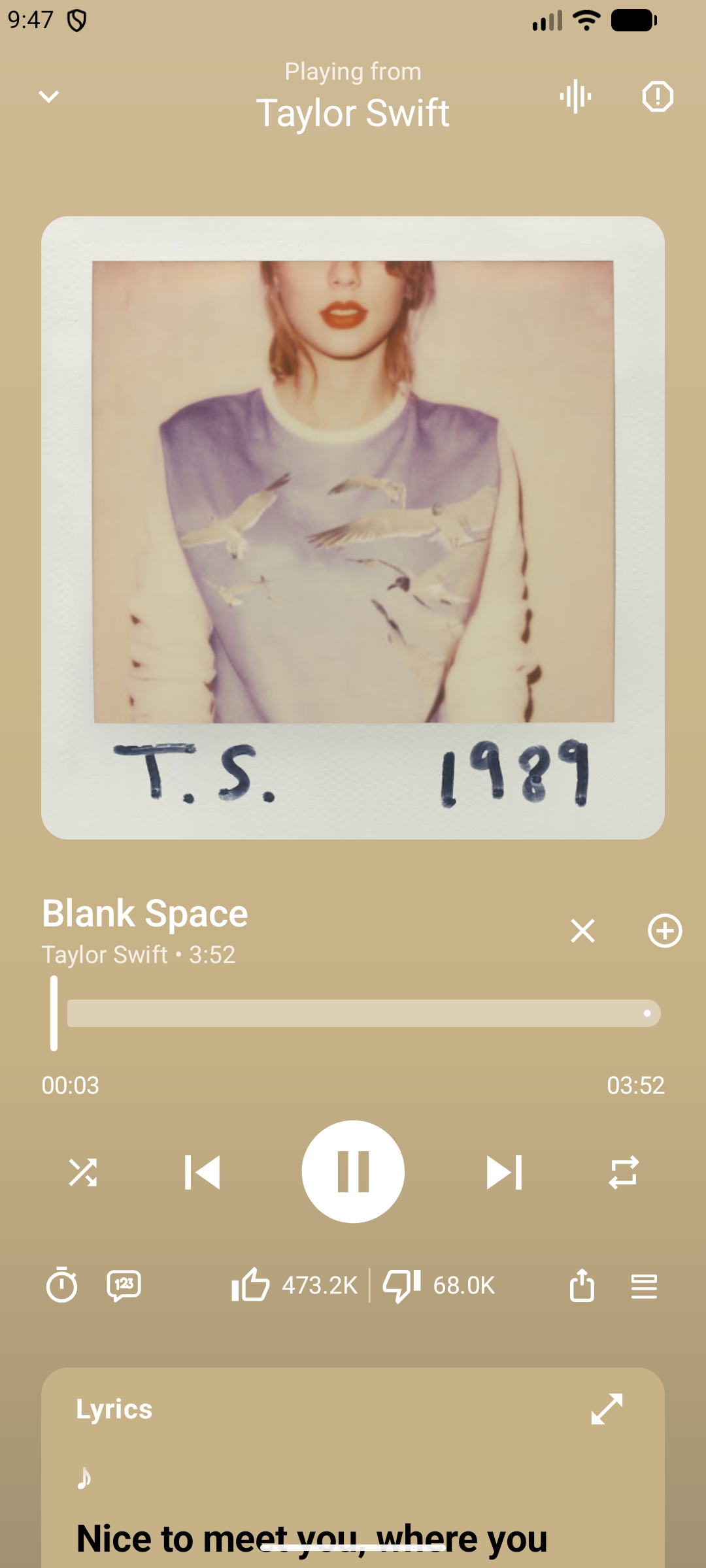 Spotube now playing screen on Android